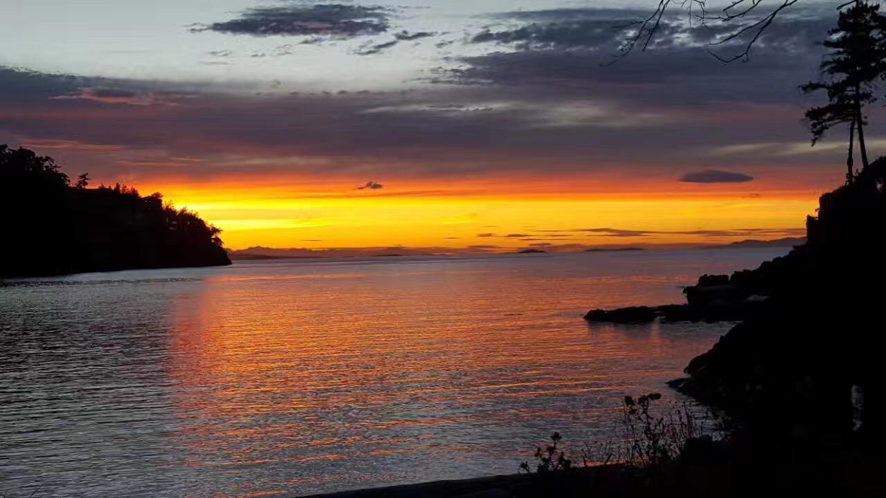 Gulfview Drive Ocean View B&B Nanaimo Buitenkant foto
